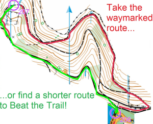 Take the waymarked route (red), or beat the trail (green)